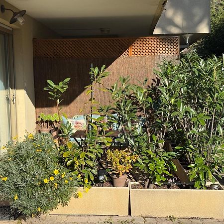 Studio Tout Confort Au Calme Avec Jardin Proche Cannes Le Cannet Exterior photo